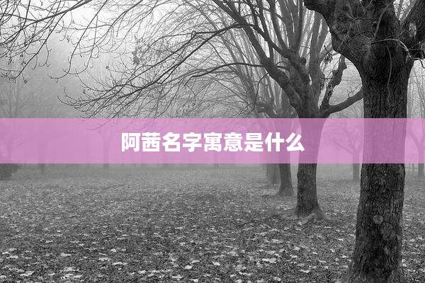 阿茜名字寓意是什么
