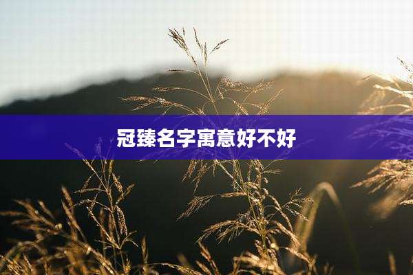 冠臻名字寓意好不好