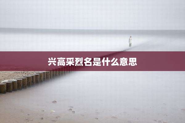 兴高采烈名是什么意思