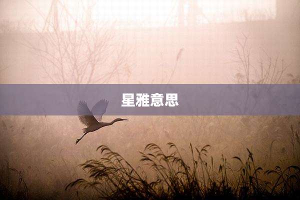 星雅意思