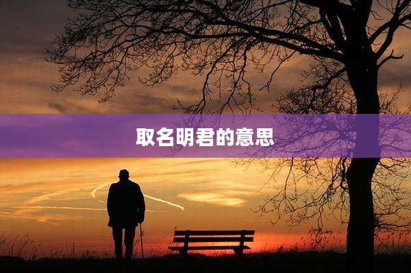 取名明君的意思