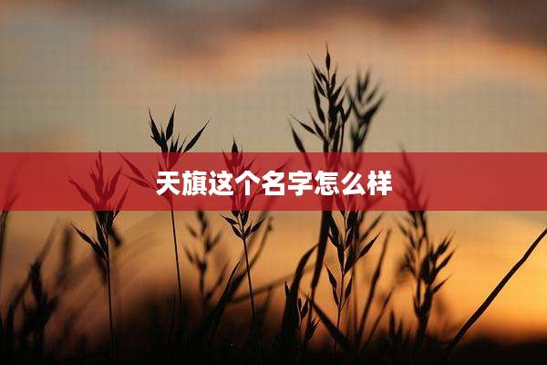 天旗这个名字怎么样
