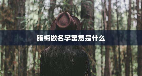 腊梅做名字寓意是什么