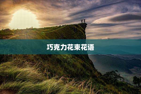 巧克力花束花语