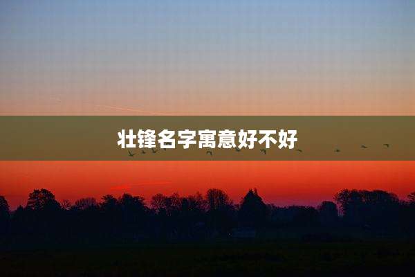 壮锋名字寓意好不好