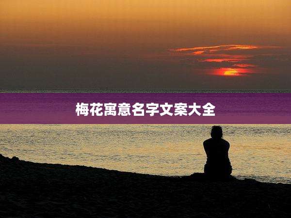 梅花寓意名字文案大全