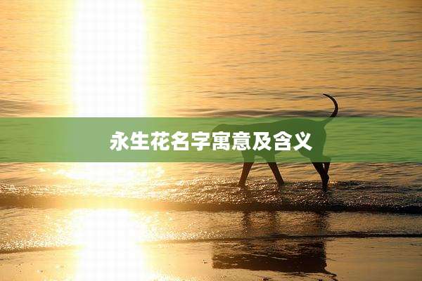 永生花名字寓意及含义