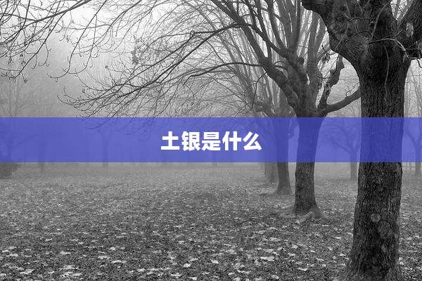 土银是什么
