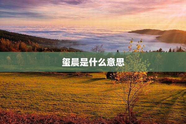 玺晨是什么意思