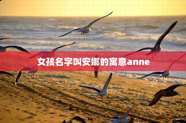 女孩名字叫安娜的寓意anne