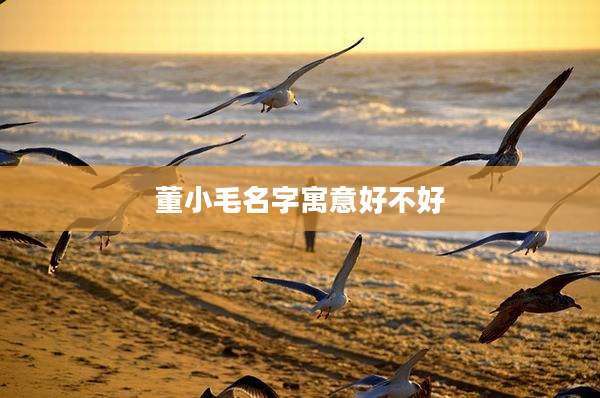 董小毛名字寓意好不好