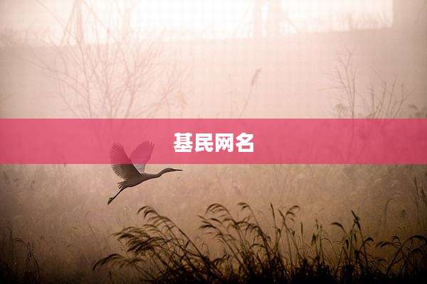 基民网名