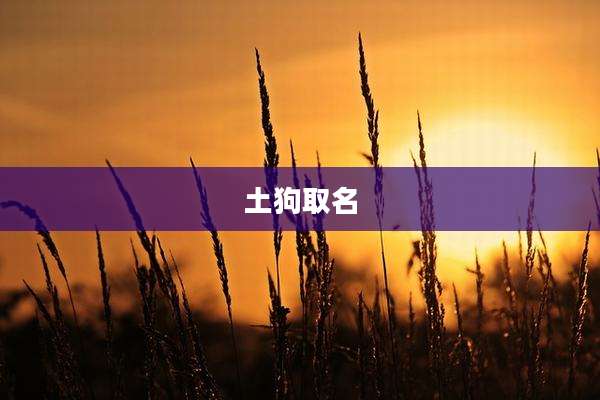 土狗取名