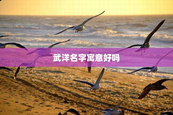 武洋名字寓意好吗