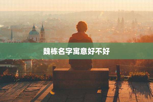 魏栋名字寓意好不好