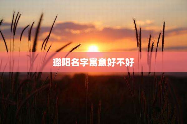 璐阳名字寓意好不好