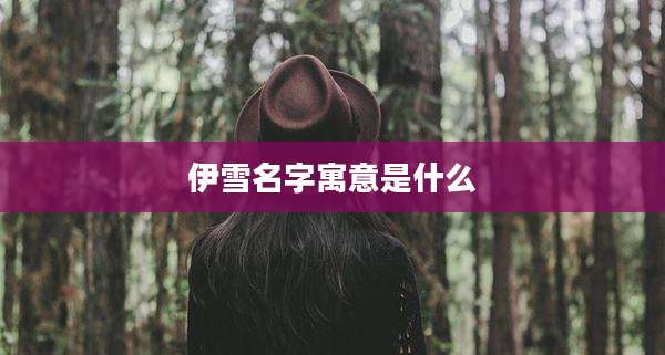 伊雪名字寓意是什么