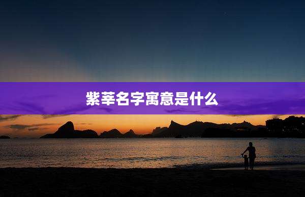 紫莘名字寓意是什么