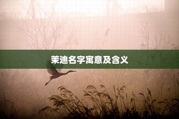 茉迪名字寓意及含义