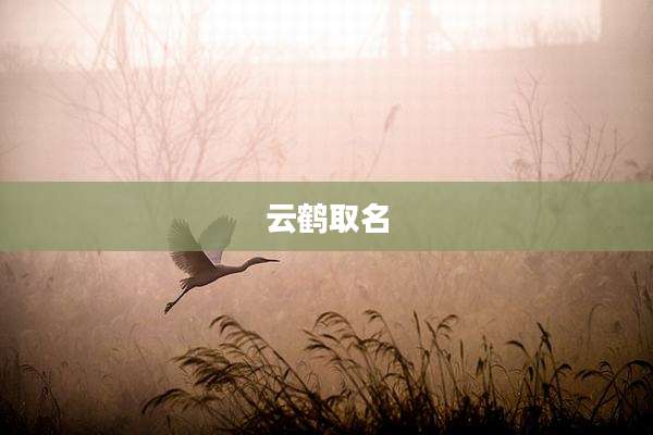 云鹤取名