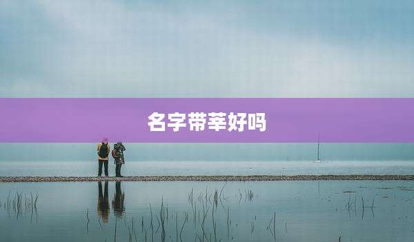 名字带莘好吗
