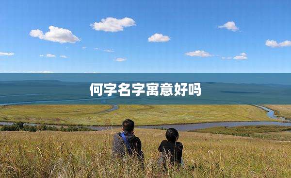 何字名字寓意好吗