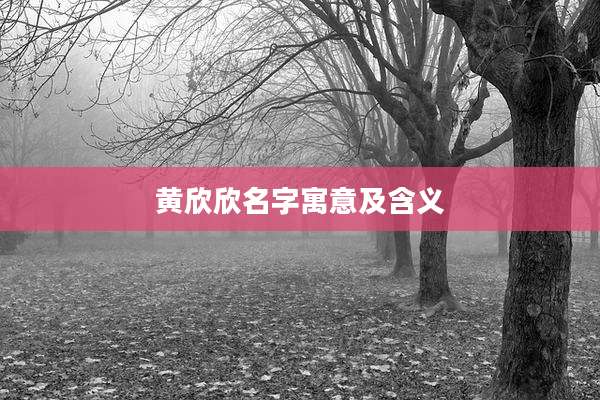 黄欣欣名字寓意及含义
