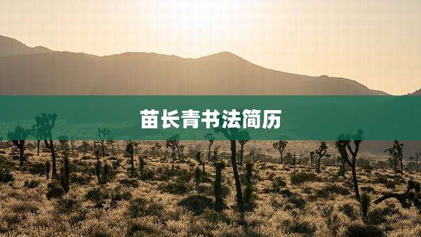 苗长青书法简历