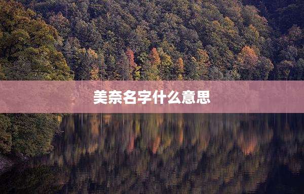 美奈名字什么意思
