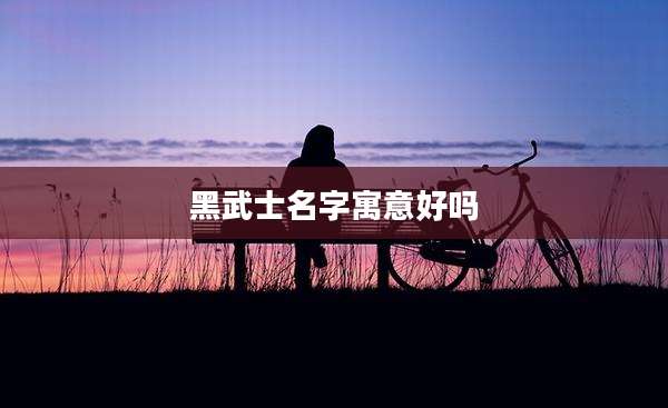 黑武士名字寓意好吗