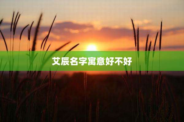艾辰名字寓意好不好