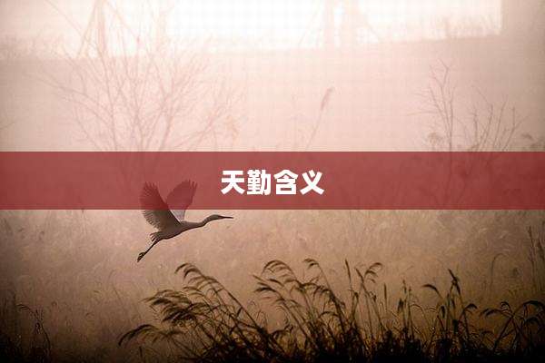 天勤含义