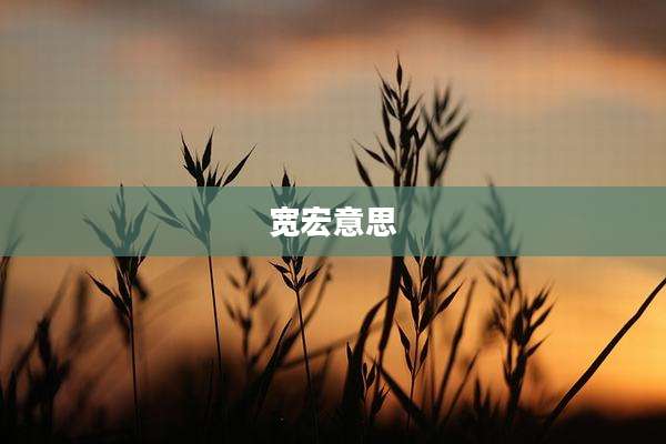 宽宏意思