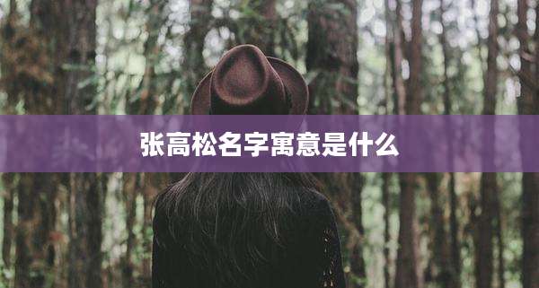 张高松名字寓意是什么