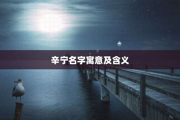 辛宁名字寓意及含义