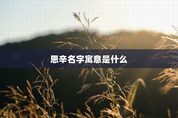 恩辛名字寓意是什么