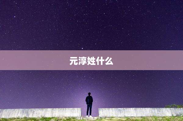 元淳姓什么