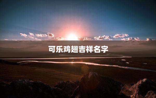 可乐鸡翅吉祥名字