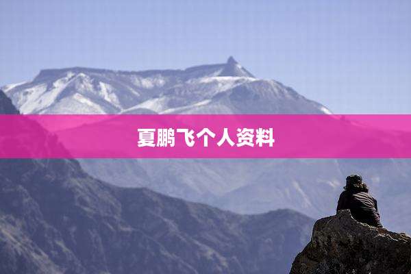夏鹏飞个人资料