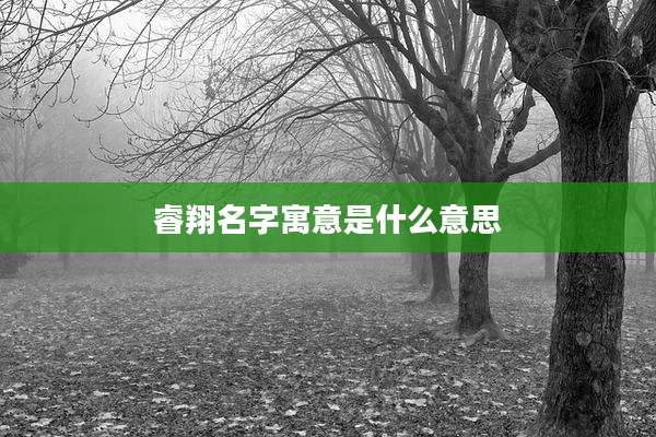睿翔名字寓意是什么意思