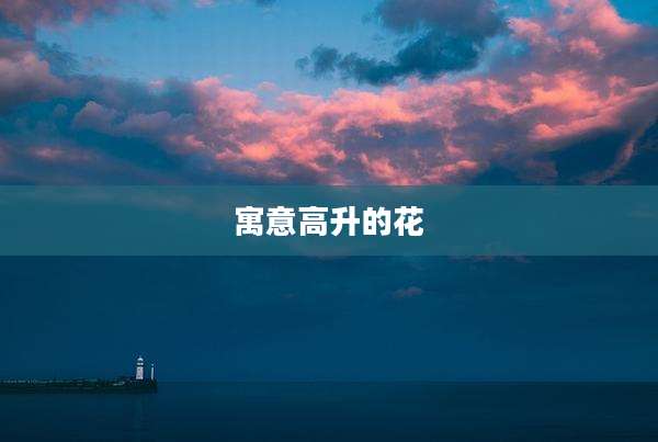 寓意高升的花