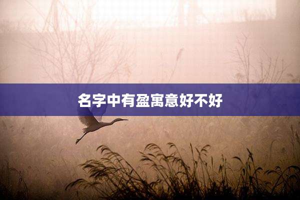名字中有盈寓意好不好