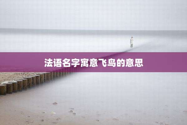 法语名字寓意飞鸟的意思