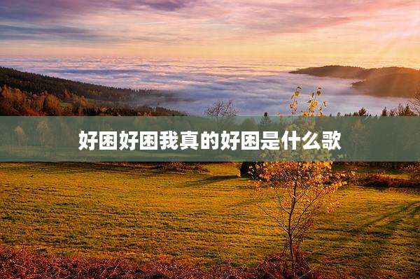 好困好困我真的好困是什么歌