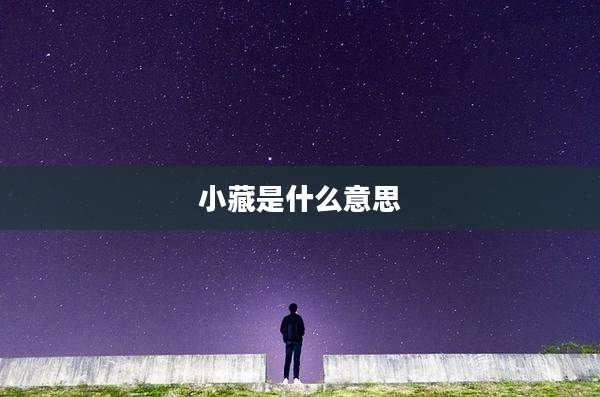 小藏是什么意思