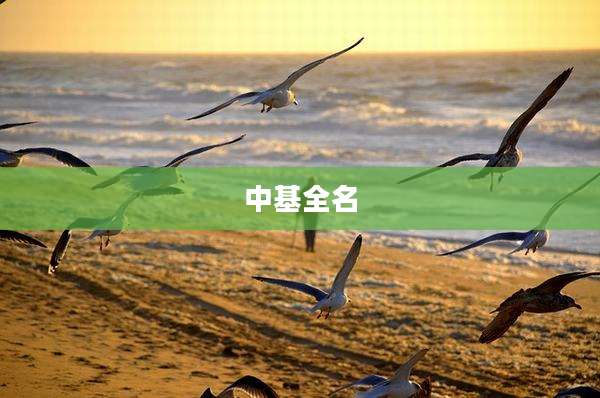 中基全名