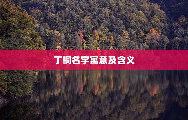 丁桐名字寓意及含义