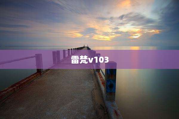 雷梵v103