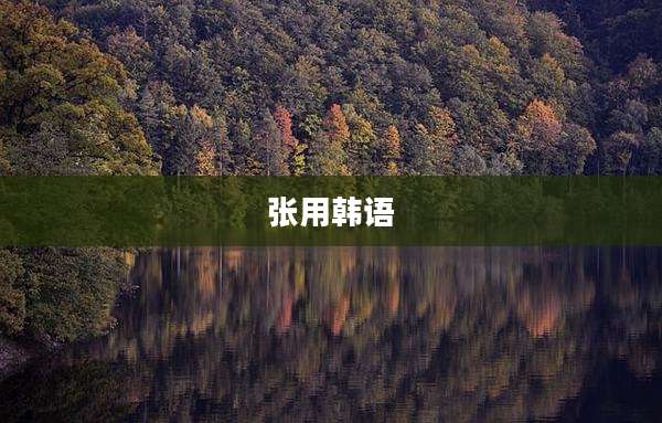 张用韩语