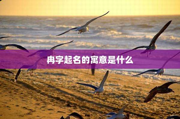 冉字起名的寓意是什么